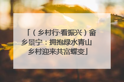 （乡村行·看振兴）畲乡景宁：拥抱绿水青山 乡村迎来共富蝶变