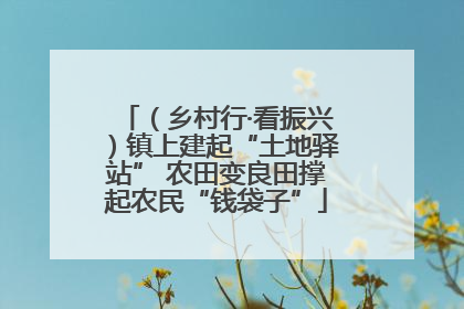 （乡村行·看振兴）镇上建起“土地驿站” 农田变良田撑起农民“钱袋子”