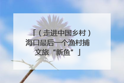 （走进中国乡村）海口最后一个渔村捕文旅“新鱼”