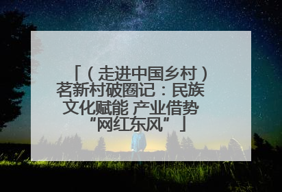 （走进中国乡村）茗新村破圈记：民族文化赋能 产业借势 “网红东风”