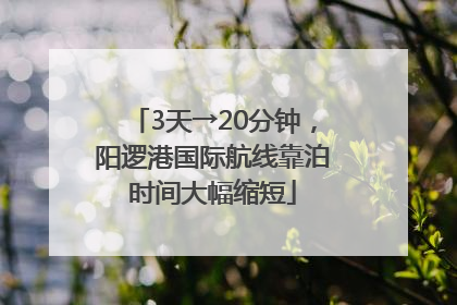 3天→20分钟，阳逻港国际航线靠泊时间大幅缩短