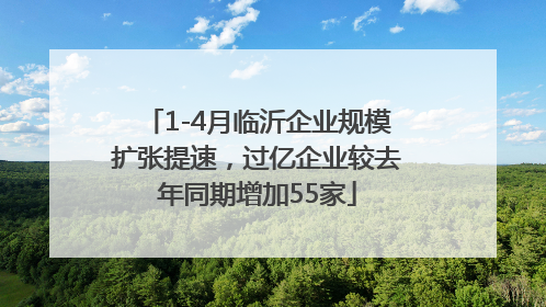 1-4月临沂企业规模扩张提速，过亿企业较去年同期增加55家