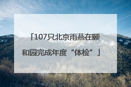 107只北京雨燕在颐和园完成年度“体检”