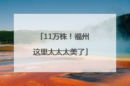11万株！福州这里太太太美了