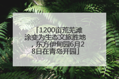 1200亩荒芜滩涂变为生态文旅胜地，东方伊甸园6月28日在青岛开园