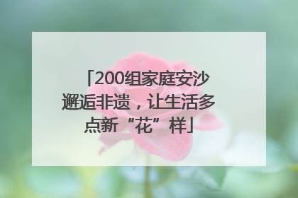 200组家庭安沙邂逅非遗，让生活多点新“花”样