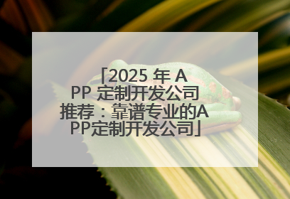 2025 年 APP 定制开发公司推荐：靠谱专业的APP定制开发公司