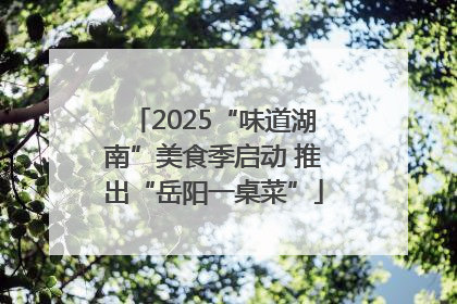 2025“味道湖南”美食季启动 推出“岳阳一桌菜”