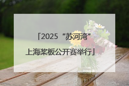 2025“苏河湾”上海桨板公开赛举行