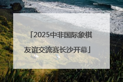 2025中非国际象棋友谊交流赛长沙开幕