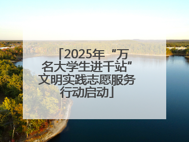 2025年“万名大学生进千站”文明实践志愿服务行动启动