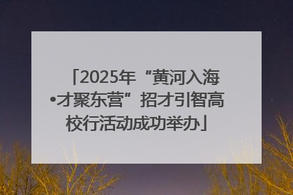 2025年“黄河入海•才聚东营”招才引智高校行活动成功举办