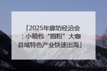 2025年廊坊经洽会：小箱包“圈粉”大咖 县域特色产业快速出海