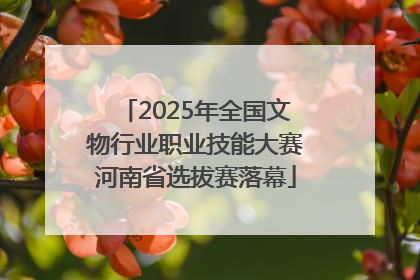 2025年全国文物行业职业技能大赛河南省选拔赛落幕