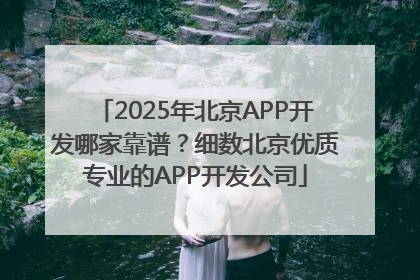 2025年北京APP开发哪家靠谱？细数北京优质专业的APP开发公司