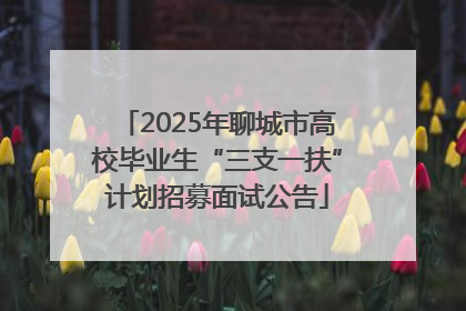 2025年聊城市高校毕业生“三支一扶”计划招募面试公告