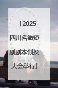 2025四川省微短剧剧本创投大会举行