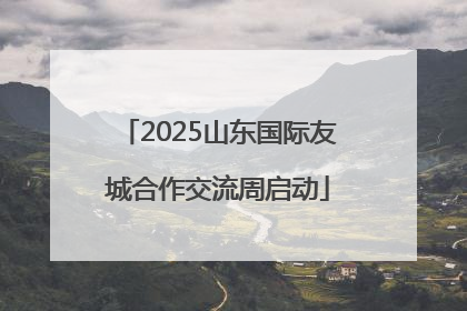 2025山东国际友城合作交流周启动