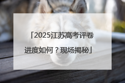 2025江苏高考评卷进度如何？现场揭秘