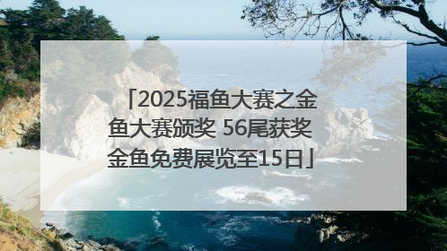 2025福鱼大赛之金鱼大赛颁奖 56尾获奖金鱼免费展览至15日