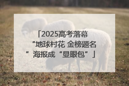 2025高考落幕 “地球村花 金榜题名”海报成“显眼包”