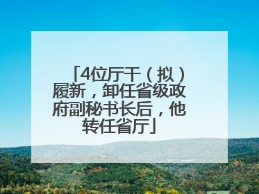 4位厅干（拟）履新，卸任省级政府副秘书长后，他转任省厅