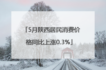 5月陕西居民消费价格同比上涨0.3%
