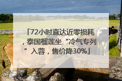 72小时直达近零损耗，泰国榴莲坐“冷气专列”入蓉，售价降30%