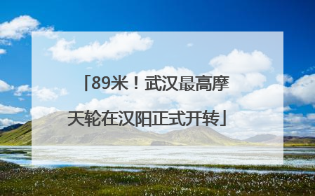 89米！武汉最高摩天轮在汉阳正式开转