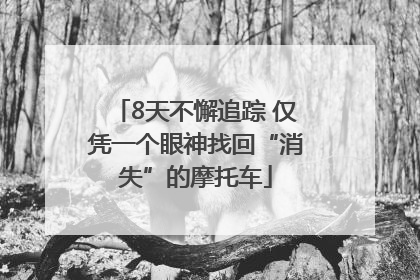 8天不懈追踪 仅凭一个眼神找回“消失”的摩托车