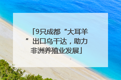 9只成都“大耳羊”出口乌干达，助力非洲养殖业发展