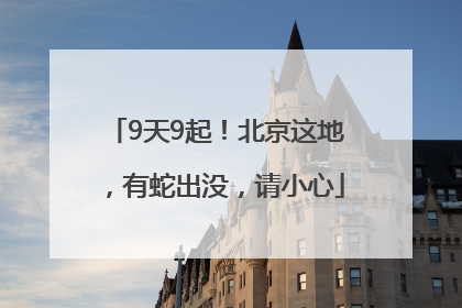 9天9起！北京这地，有蛇出没，请小心
