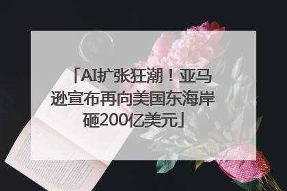 AI扩张狂潮！亚马逊宣布再向美国东海岸砸200亿美元