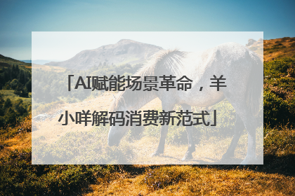 AI赋能场景革命，羊小咩解码消费新范式