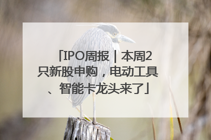 IPO周报｜本周2只新股申购，电动工具、智能卡龙头来了
