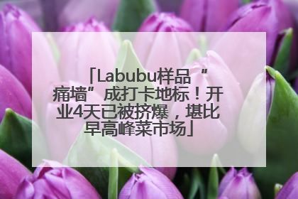 Labubu样品“痛墙”成打卡地标！开业4天已被挤爆，堪比早高峰菜市场