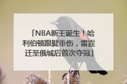 NBA新王诞生！哈利伯顿跟腱重伤，雷霆迁至俄城后首次夺冠
