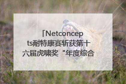 Netconcepts耐特康赛斩获第十六届虎啸奖“年度综合服务商”大奖