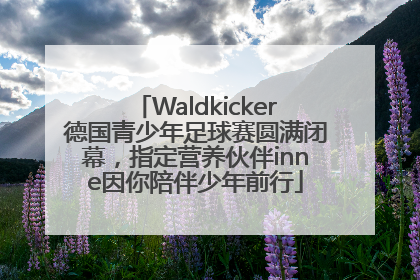Waldkicker德国青少年足球赛圆满闭幕，指定营养伙伴inne因你陪伴少年前行